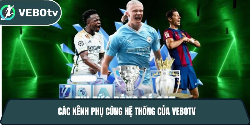 cac kenh phu tai ve bo tv